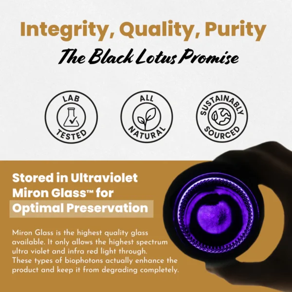 Pure Shilajit Resin - Image 2